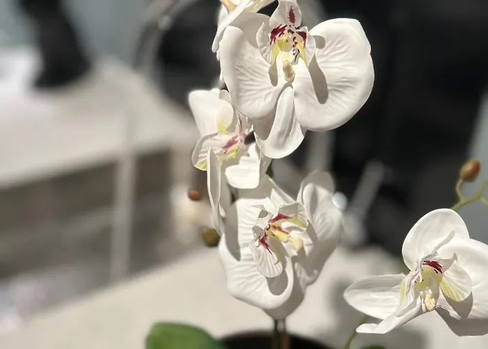 Eide Aurora Lägenhet