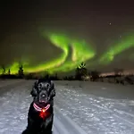 Eide Aurora *