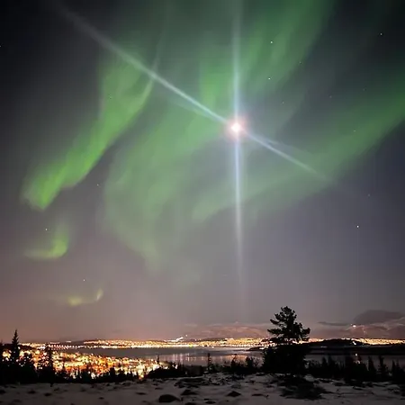 Eide Aurora *