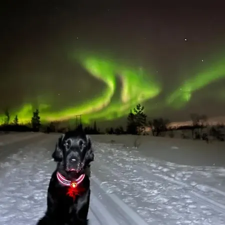 Eide Aurora *