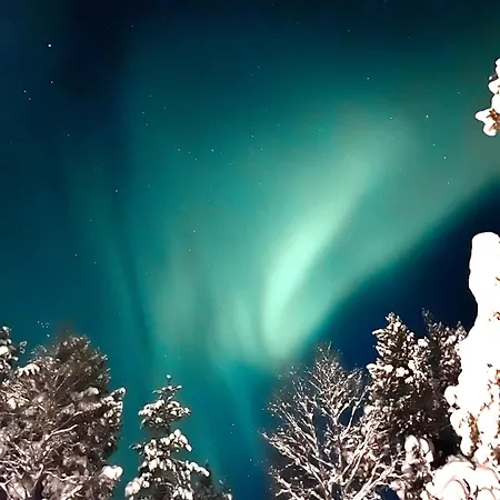 Eide Aurora 트롬쇠